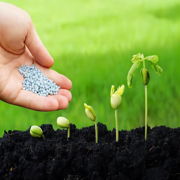 What are the commonly used fertilizers